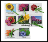 Flowers Montessori Object Match - Miniature flowers with Matching Cards - 2 Part Cards.  Montessori learning toy, Flora, Botanical