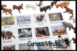 Animal Match - North American - Miniature Animals with Matching Cards - 2 Part Cards.  Montessori learning toy, language materials - North American Wildlife Animals