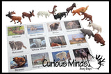 Animal Match - North American - Miniature Animals with Matching Cards - 2 Part Cards.  Montessori learning toy, language materials - North American Wildlife Animals