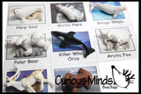 Animal Match - North American - Miniature Animals with Matching Cards - 2 Part Cards.  Montessori learning toy, language materials - North American Wildlife Animals