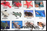Animal Match - OCEAN - Miniature Ocean Animals with Matching Cards - 2 Part Cards.  Montessori learning toy, language materials - Ocean Animals