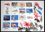 Animal Match - OCEAN - Miniature Ocean Animals with Matching Cards - 2 Part Cards.  Montessori learning toy, language materials - Ocean Animals