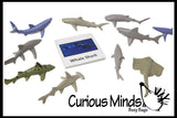 Animal Match - SHARK - Miniature Animals with Matching Cards - 2 Part Cards.  Montessori learning toy, language materials