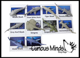 Animal Match - SHARK - Miniature Animals with Matching Cards - 2 Part Cards.  Montessori learning toy, language materials