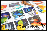 Animal Match - TROPICAL FISH - Miniature Animals with Matching Cards - 2 Part Cards.  Montessori learning toy, language materials - Tropical Fish