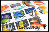 Animal Match - TROPICAL FISH - Miniature Animals with Matching Cards - 2 Part Cards.  Montessori learning toy, language materials - Tropical Fish