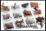 Animal Match - North American - Miniature Animals with Matching Cards - 2 Part Cards.  Montessori learning toy, language materials - North American Wildlife Animals