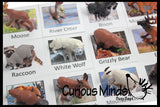 Animal Match - North American - Miniature Animals with Matching Cards - 2 Part Cards.  Montessori learning toy, language materials - North American Wildlife Animals