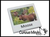 Animal Match - North American - Miniature Animals with Matching Cards - 2 Part Cards.  Montessori learning toy, language materials - North American Wildlife Animals