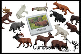 Animal Match - North American - Miniature Animals with Matching Cards - 2 Part Cards.  Montessori learning toy, language materials - North American Wildlife Animals