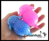 Axolotl Water Bead Filled Squeeze Stress Ball  -  Sensory, Stress, Fidget Toy Axolotyl Walking Fish