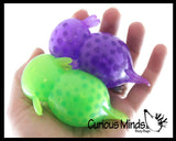 Axolotl Water Bead Filled Squeeze Stress Ball  -  Sensory, Stress, Fidget Toy Axolotyl Walking Fish