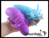 Axolotl Fidget - Large Wiggle Articulated Jointed Moving Axolotyl Toy - Unique