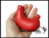 Body Parts Stress Balls - Office, Doctor, Med Student Anatomy