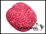 LAST CHANCE - LIMITED STOCK -  Giant Brain Ball - Flexible Soft Air Filled Novelty Ball -  Sensory, Stress, Fidget Toy