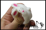 LAST CHANCE - LIMITED STOCK - Bunny Water Bath Squirt / Squirter Toy
