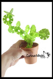 LAST CHANCE - LIMITED STOCK - SALE  - Succulant Sculpture Cactus Connecting Shapes Building Set - Desk Toy