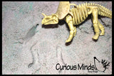LAST CHANCE - LIMITED STOCK - Dinosaur Dig #1 Excavation Sensory Bin Toy - Dino skeleton, fossil Game