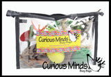 LAST CHANCE - LIMITED STOCK - Dinosaur Dig #1 Excavation Sensory Bin Toy - Dino skeleton, fossil Game
