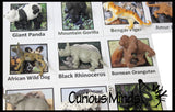 Animal Match - ENDANGERED SPECIES - Miniature Animals with Matching Cards - 2 Part Cards.  Montessori learning toy, language materials