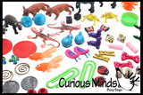 LAST CHANCE - LIMITED STOCK -  SALE - Preschool and Kindergarten Matching Activity with Miniature Objects - early learning toy