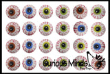 Eye Erasers - Eyeball Gross School Supply - Doctor, Optometrist Ophthalmology - Party Favor -Halloween Trick or Treat