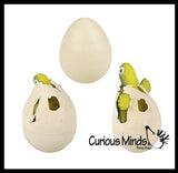 Hatch and Grow a Turtle Egg in Water - Add Water and it Grow - Critter Toy Bath - Soak in Water and It Expands
