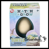 Hatch and Grow a Turtle Egg in Water - Add Water and it Grow - Critter Toy Bath - Soak in Water and It Expands