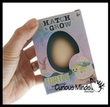 Hatch and Grow a Turtle Egg in Water - Add Water and it Grow - Critter Toy Bath - Soak in Water and It Expands