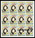 Hatch and Grow a Alligator Egg in Water - Add Water and it Grows Gator - Critter Toy Bath - Soak in Water and It Expands