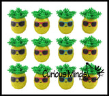 LAST CHANCE - LIMITED STOCK - Cute Pineapple Hedge Balls -  Spiky Wooly Porcupine Balls - Sensory Novelty Toy
