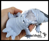 Axolotl Cute Sea Creatures Stretchy and Squeezy Toy - Crunchy Bead Filled - Fidget Stress Ball