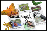 Butterfly (or Frog) Life Cycle Learning Set - Animal Figures with Matching Cards - Montessori Educational Toy