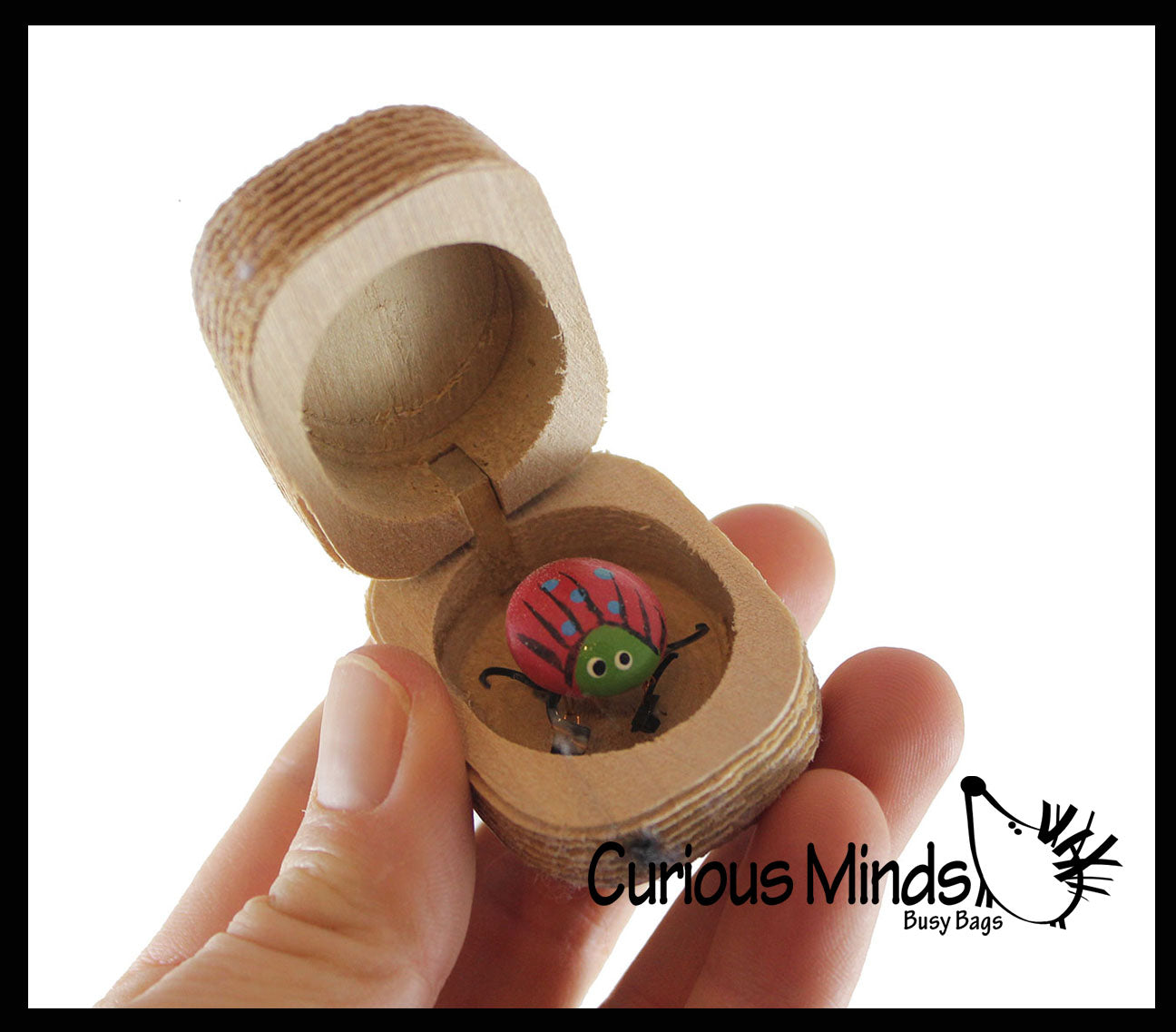 Love bug in Box Novelty Gift - Bugs Legs Wiggle So it Looks Alive - Wooden Hinged Box Nut Ladybug