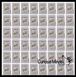 Mini Decks of Cards Games - Fun Kid's Card Game - Cute Small Party Favors