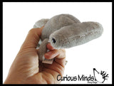 3 Cute Mini Ocean Animal Plush Stuffed Animals- Adorable Mini Plushie - Hammerhead Shark, Jellyfish, Lobster