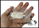 LAST CHANCE - LIMITED STOCK -  - SALE - Small Mochi Squishy Animals - Kawaii -  Sensory, Stress, Fidget Party Favor Toys
