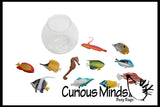 LAST CHANCE - LIMITED STOCK  - SALE - Fish & Bowl Pool Dive Toy - Water Table Toy Bath Tub