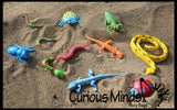 LAST CHANCE - LIMITED STOCK  - Pool Dive - Snakes, Lizards and Bug Pool and Sand Hunt Toy - Dig sift and find buried critters - Pool Dive