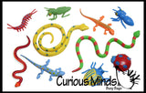 LAST CHANCE - LIMITED STOCK  - Pool Dive - Snakes, Lizards and Bug Pool and Sand Hunt Toy - Dig sift and find buried critters - Pool Dive