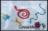 LAST CHANCE - LIMITED STOCK  - Pool Dive - Snakes, Lizards and Bug Pool and Sand Hunt Toy - Dig sift and find buried critters - Pool Dive
