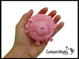 Cute 3" Animal Puffer Ball -  Sensory Fidget Toy