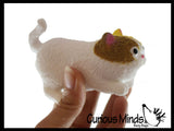 Stretchy Cat Crushed Bead Sand Filled - Kitty Lover Sensory Fidget Toy Weighted