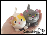 Stretchy Cat Crushed Bead Sand Filled - Kitty Lover Sensory Fidget Toy Weighted
