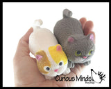 Stretchy Cat Crushed Bead Sand Filled - Kitty Lover Sensory Fidget Toy Weighted