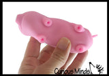 2 Sand Animals - Pig and Chicken - Sand Filled Squishy - Rubber Chicken Moldable Sensory, Stress, Squeeze Fidget Toy ADHD Special Needs Soothing