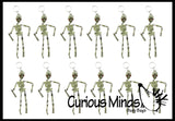 LAST CHANCE - LIMITED STOCK - Moving Skeleton Keychains - Doctor - Anatomy - Halloween Spooky Favor