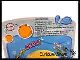 LAST CHANCE - LIMITED STOCK - Grow a Stress Ball Animal - Soak in Water to Expand - Glob Balls - Squishy Gooey Squish Sensory Squeeze Balls