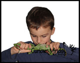 Jumbo Stretchy Dragons - Sensory Fidget Toy