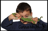 Jumbo Stretchy Dragons - Sensory Fidget Toy